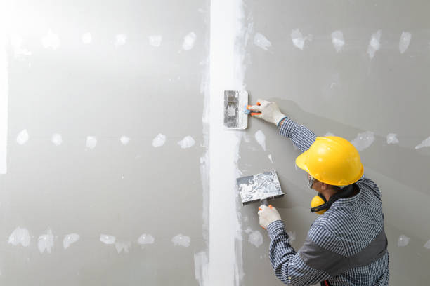 Best Water Damage & Mold Remediation  in Elim, PA